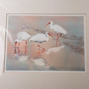 White Ibis Birds on Beach Watercolor Lithograph FL